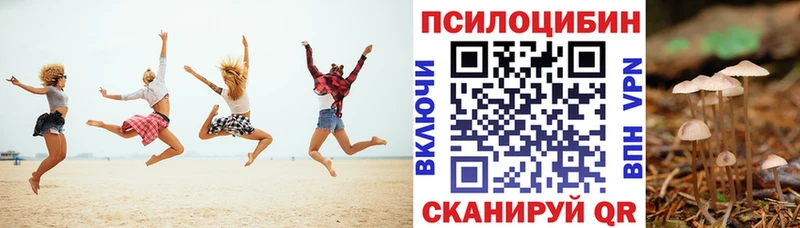 Купить  Верещагино  Псилоцибиновые грибы GOLDEN TEACHER 